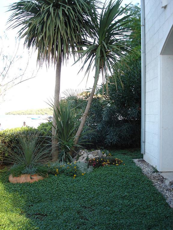 Olea Apartmán