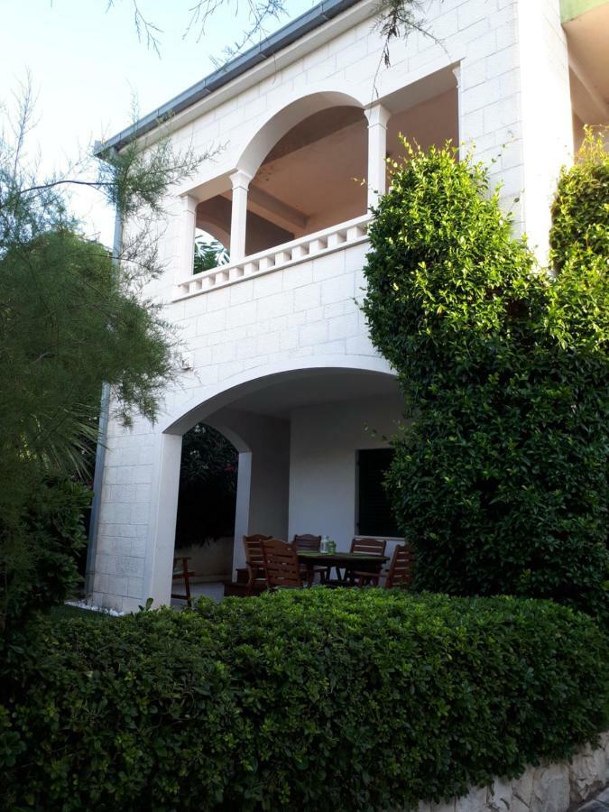 Olea