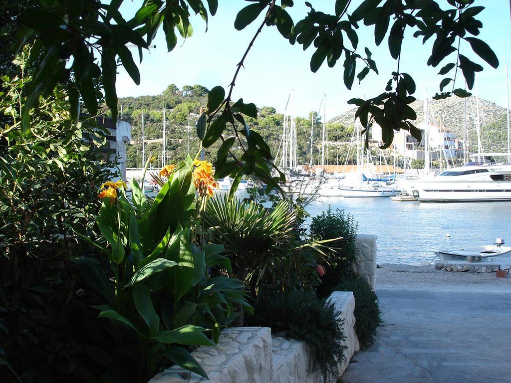 Olea Marina
